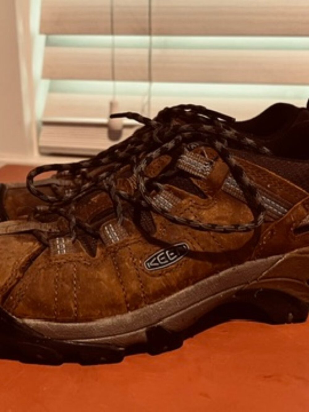 Keene Targhee Low Hiking Shoes